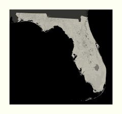 Florida Archival Print