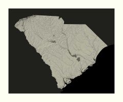 South Carolina Archival Print